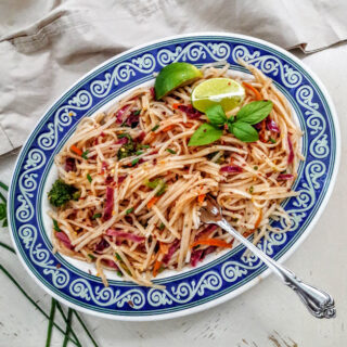 Rice Noodles with Rainbow Veggies Stir Fry served with a fork.