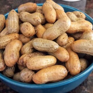 Boiled Peanuts In InstantPot