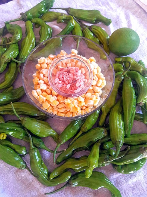 Shishito Peppers and Corn Appetizer ingredients 