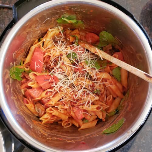 Penne Rosa - Creamy Tomato Pasta - Profusion Curry