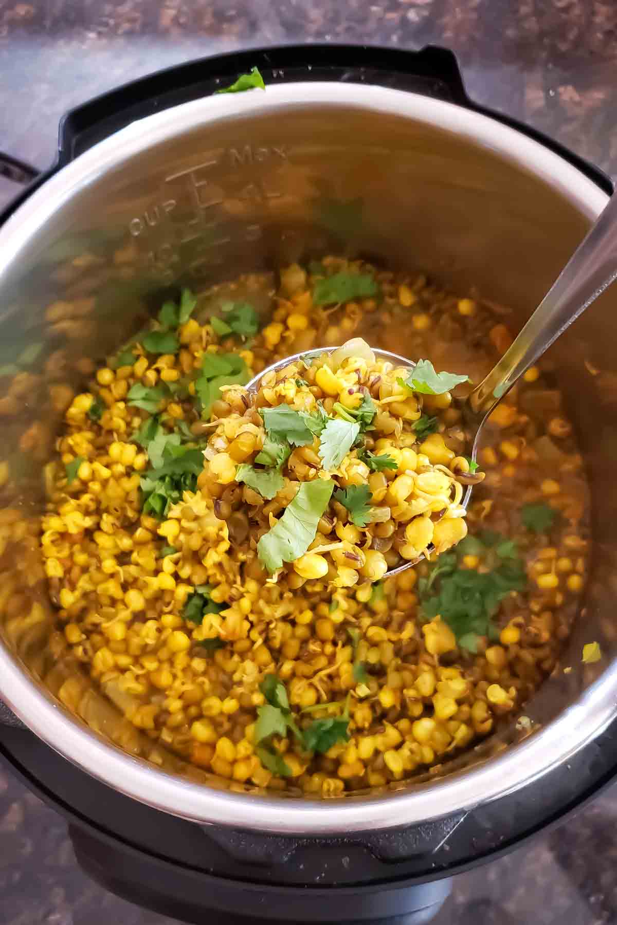 Easy homemade sprouts curry made in Instant Pot pressure cooker with green mung bean sprouts.