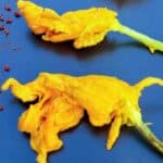 Fried zucchini flowers are light, crispy, and stuffed with creamy filling—perfect for summer appetizers! Try this easy recipe for zucchini blossom fritters too.