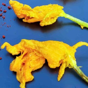 Fried zucchini flowers are light, crispy, and stuffed with creamy filling&mdash;perfect for summer appetizers! Try this easy recipe for zucchini blossom fritters too.