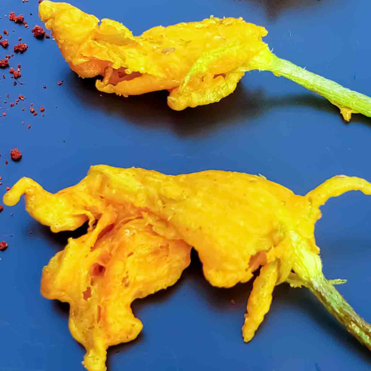 Fried zucchini flowers are light, crispy, and stuffed with creamy filling&mdash;perfect for summer appetizers! Try this easy recipe for zucchini blossom fritters too.