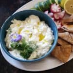 Tzatziki sauce with yogurt, cucumber and dill served as a creamy appetizer dip along with accoutrements.