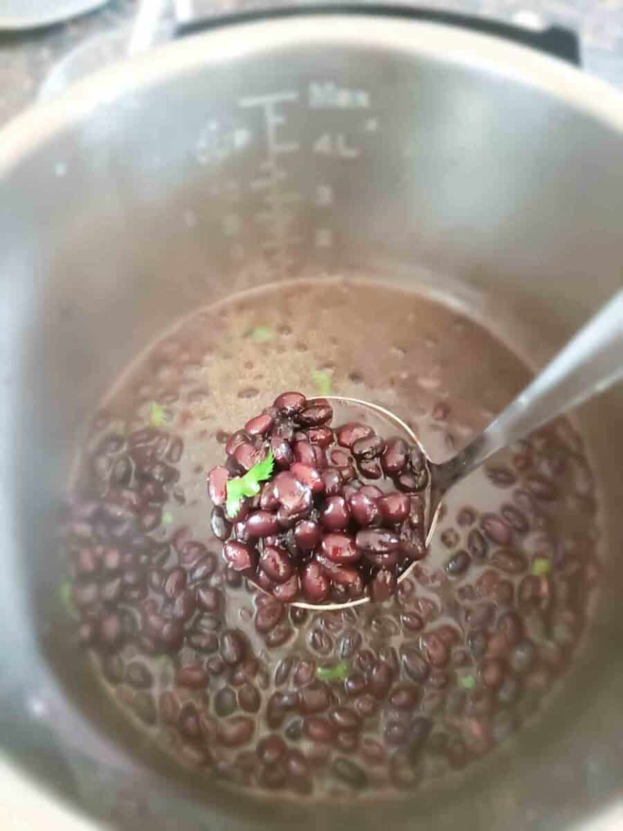 Perfectly cooked black beans made in Instant Pot.