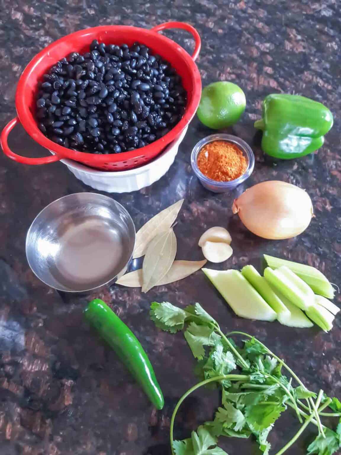 Instant Pot Black Beans Profusion Curry