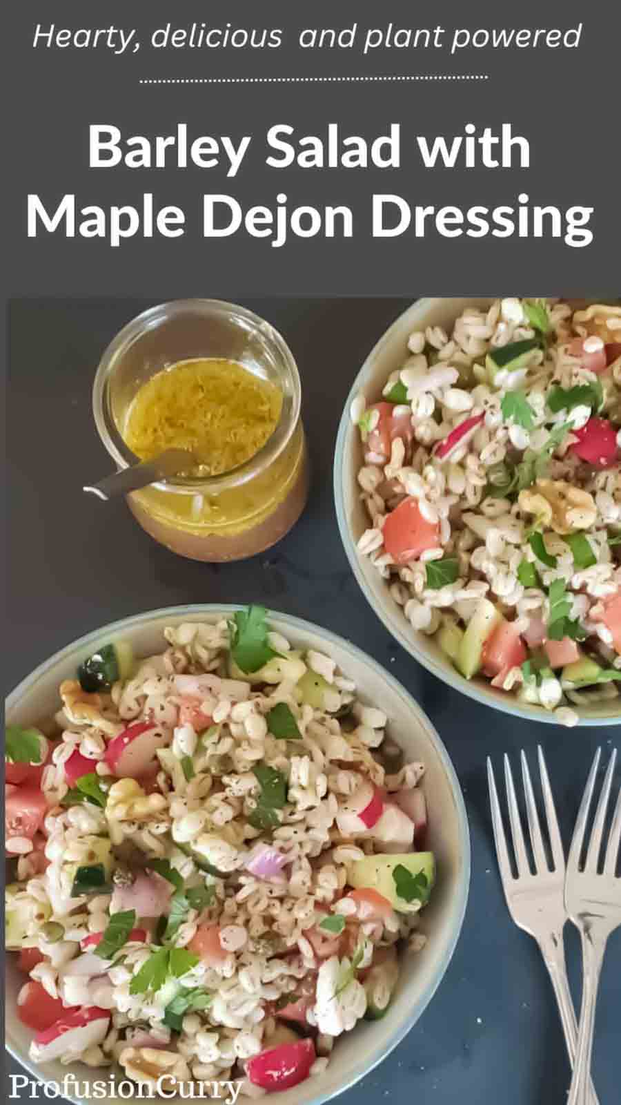 Salad bowls filled with vegan barley salad recipe with maple Dejon dressing.