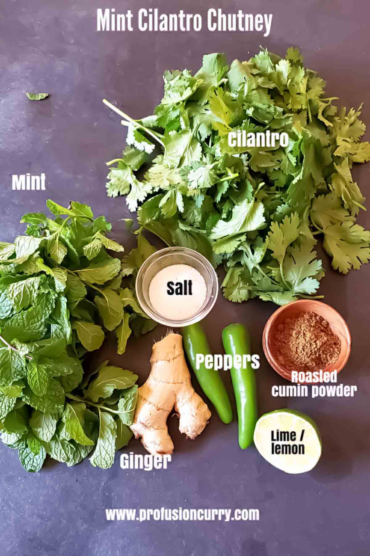 Ingredients used in making fresh Indian Green Chutney also called mint Cilantro Chutney used as a Samosa green sauce. This 5-minute Indian green chutney is vegan and gluten-free.