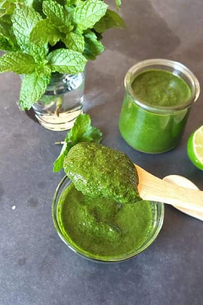 A spoonful of green chutney made with mint, cilantro and other flavoring ingredients.