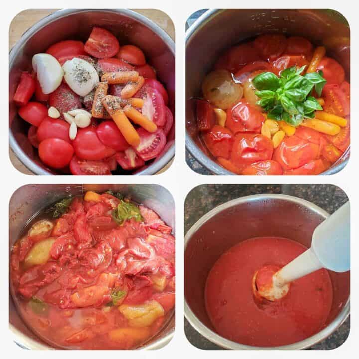 Instant Pot Tomato Sauce - Profusion Curry