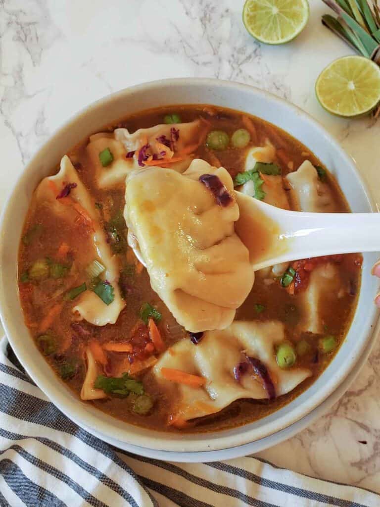 Vegetarian Dumplings Soup With Cooked Gyoza 768x1024 