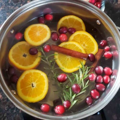 Christmas Potpourri Profusion Curry