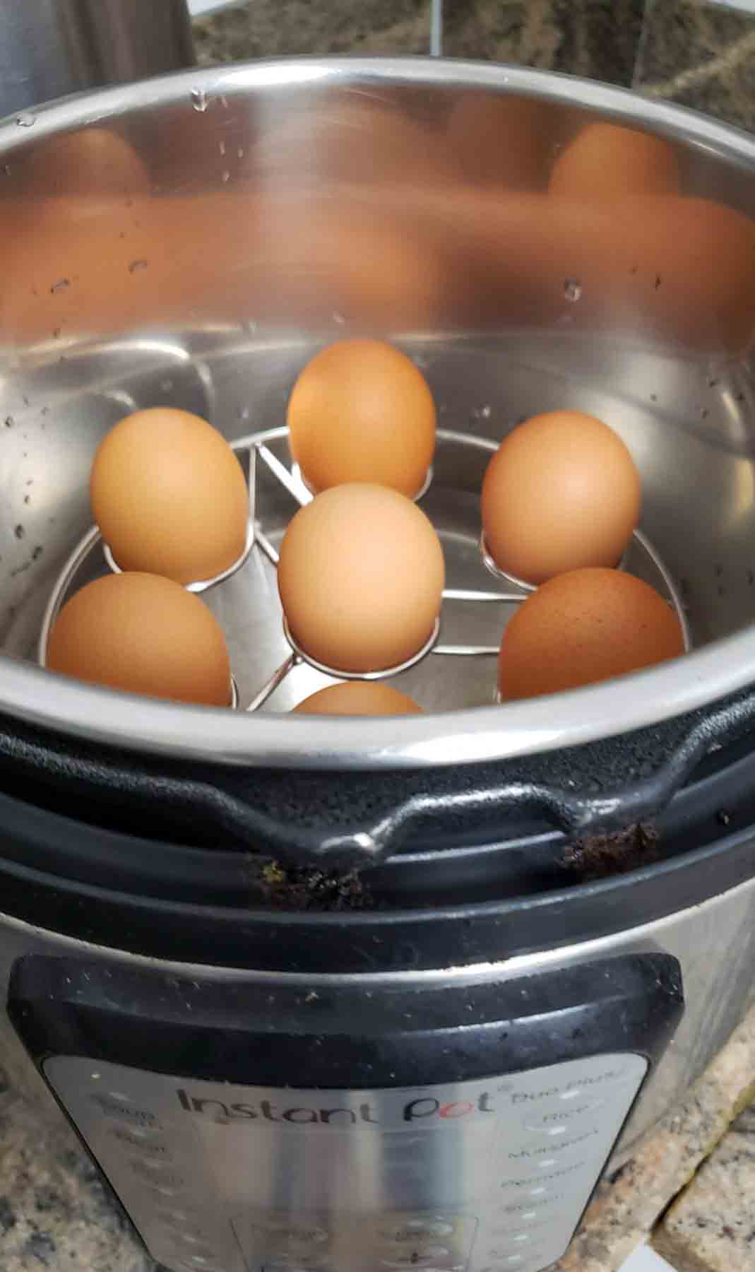 Brown eggs arranged on Instant Pot trivet 