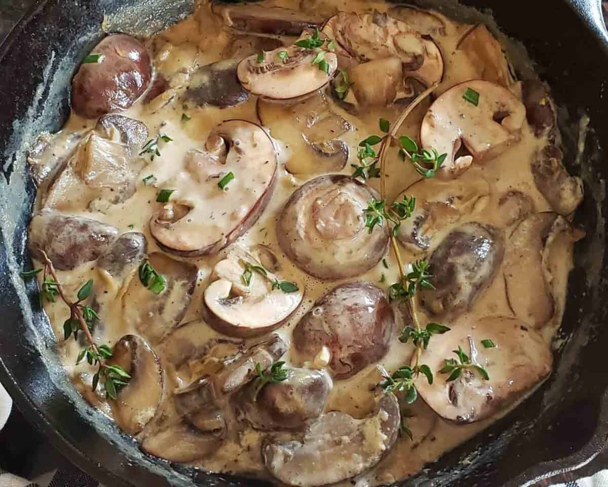 Creamy Mushroom Sauce Recipe - Profusion Curry