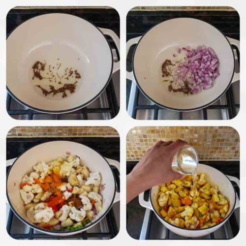 Vegetable Curry - Profusion Curry