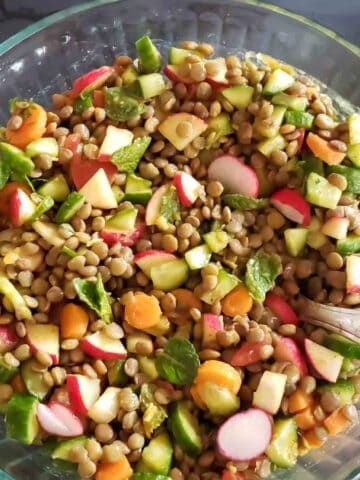 A bowl of hearty Indian Lentil Salad which also is curry lentil salad.