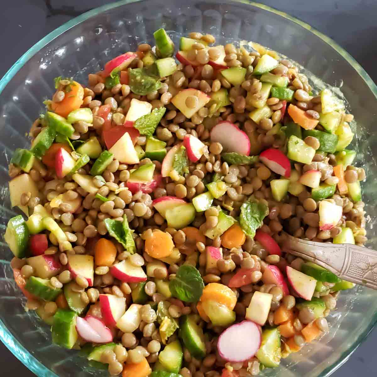 A bowl of hearty Indian Lentil Salad which also is curry lentil salad. 