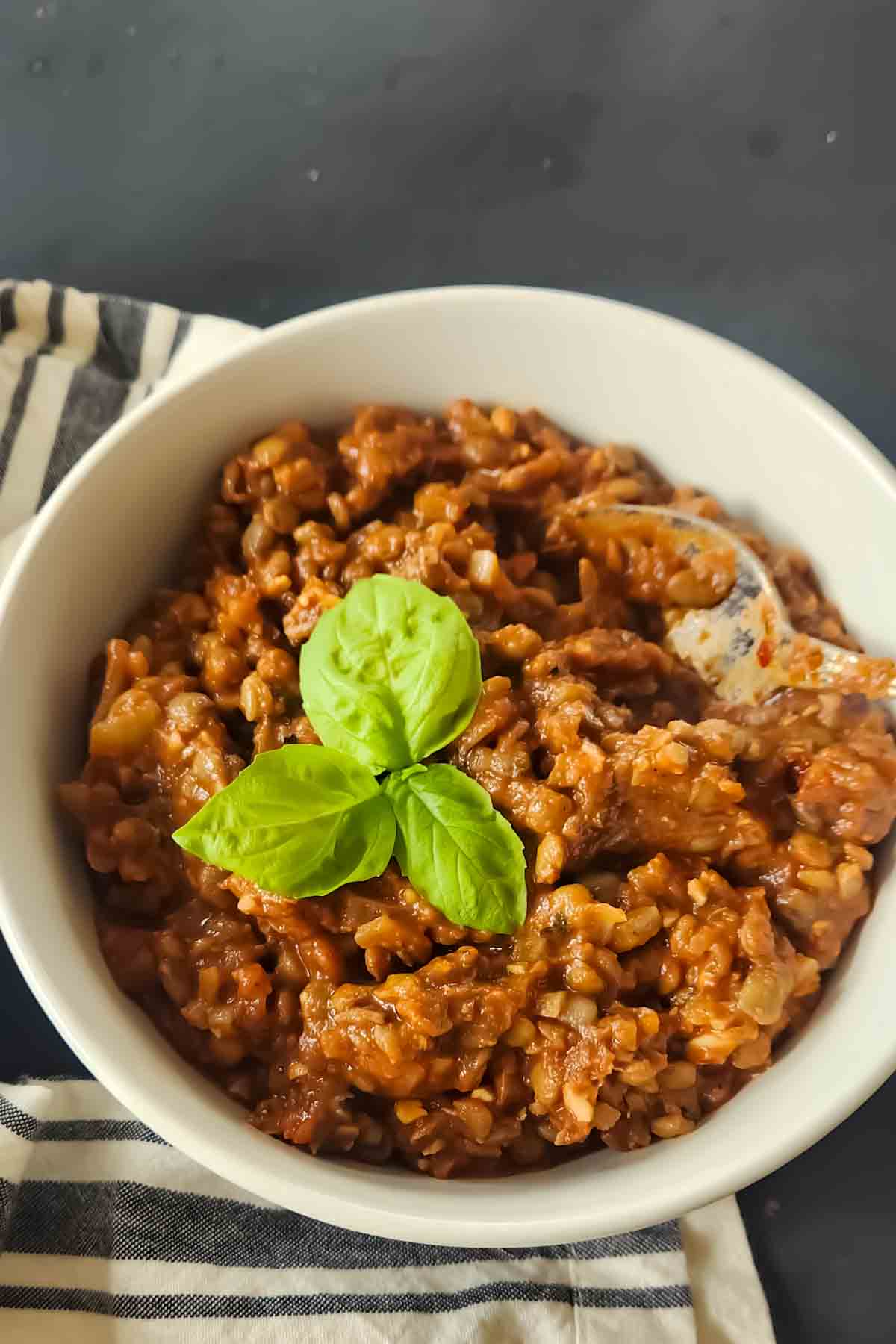 Protein-rich Lentil Sloppy Joes made in Instant Pot.